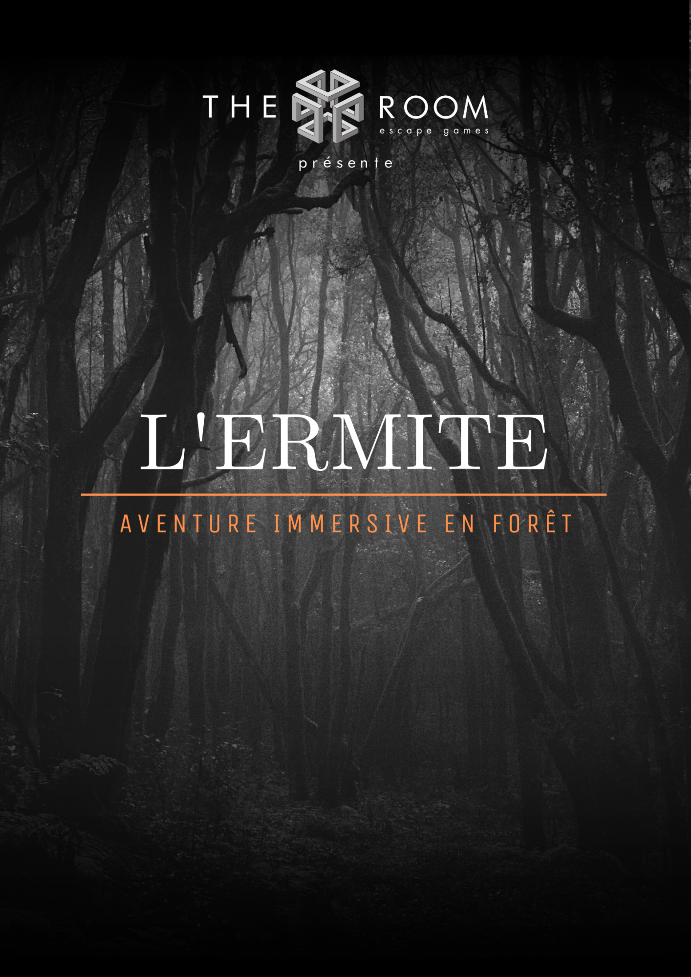 L'ermite | The Room - Escape Games | Murder Party